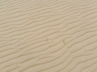 Sea sand with wavy pattern from. Sandy texture natural background