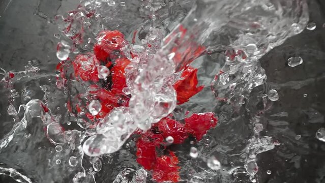Raspberries fall into the water making splashes