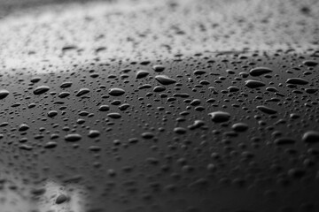 Rain or water drops different size on a black shiny car hood surface. Water droplets on dark iron surface and texture. Abstract background and water texture for design.