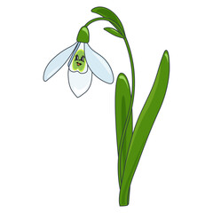 Snowdrop. Escape of the first spring flowers of snowdrops. Spring laughing flower with cheerful eyes and delicate petals. Galánthus nivalis beautiful, bright vector illustration. Vector doodle happy l