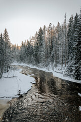winter landscape with snow covered trees and river