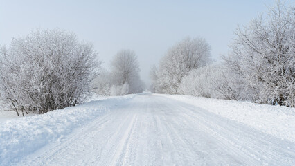 Fototapeta na wymiar Rural road cleared of snow. Trees on the sides of the road are covered with frost. Atmospheric side light of the sun through the fog. Winter landscape on a frosty day with fog and snowfall