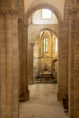 Fototapeta na wymiar Igrexa de San Domingos at Santiago de Compostela
