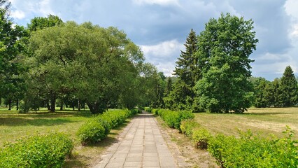 Fototapeta na wymiar In the city park, a concrete tile pathway is laid out among the mowed grassy lawns, ornamental shrubs and various trees with overhanging branches with foliage. Sunny summer weather and sky with clouds
