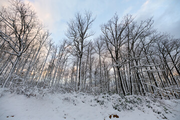 Snowy mountain roads. Road landscape in winter. Winter vacation concept. Road Leading Into Winter Mountain Landscape.