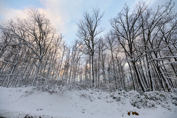 Snowy mountain roads. Road landscape in winter. Winter vacation concept. Road Leading Into Winter Mountain Landscape.