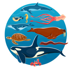 Obraz premium Cartoon sea animals, vector ocean fish and underwater life animals. Cute squid, dolphin, seahorse, killer whale or orca. Crab, sea turtle, pufferfish, eel, seal and walrus in water waves blue circle