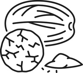 Fragrant or true nutmeg isolated outline icon. Vector culinary spice, whole and grounded. Thin line pala edible seed, ground spice of mace
