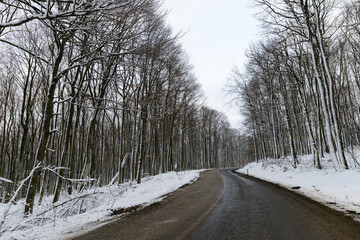 Obraz premium winter road in the forest