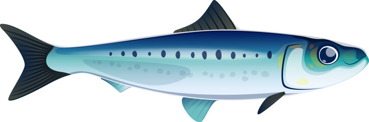 Cartoon sardine fish character. Sea wildlife, ocean animal, fishing catch isolated vector personage. Aquatic life, underwater nature cute cheerful mascot or sardine comical character - obrazy, fototapety, plakaty