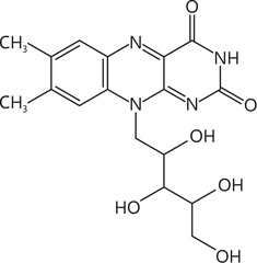 Vitamin b2, riboflavin molecular formula, vector structure c17h20n4o6 consists of a central benzene ring with a ribitol side chain, essential for energy metabolism in the body, and tissue maintenance