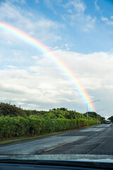rainbow over the road in hawaii 