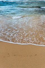 a Hawaiian beach 
