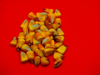 bright yellow corn seeds on a red background