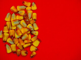 bright yellow corn seeds on a red background