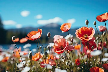 Natural colorful panoramic landscape with many wild flowers of poppies against blue sky. Spring concept