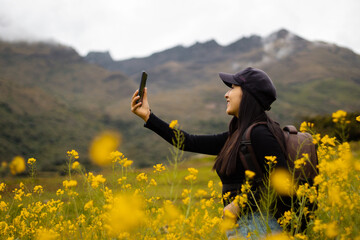 Retrato de una hermosa chica turista con gorra mirando el móvil en el hermoso paisaje, revisando teléfono inteligente en aire libre,una chica usando el móvil en medio de un camino rodeado de flores y  - obrazy, fototapety, plakaty