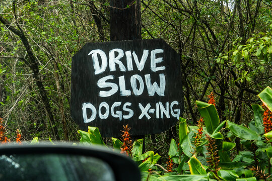 dogs x-ing sign 