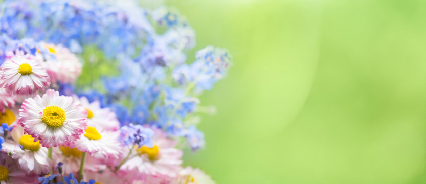 Panoramic Nature Spring Summer Floral background