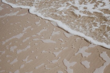 stone on the beach