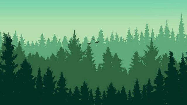 Animated view of birds flying in pine forest