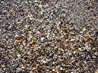 many pebbles cover the ground