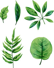 set of illustrations of tropical leaves, elements suitable for summer fabric print patterns
