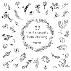 A set of floral elements, hand drawings. Isolated on transparent background.