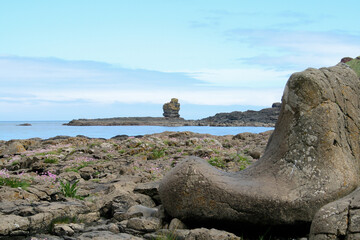 Bay at Giant's Causeway