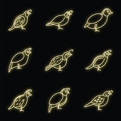 Quail bird icons set. Outline set of quail bird vector icons neon color on black