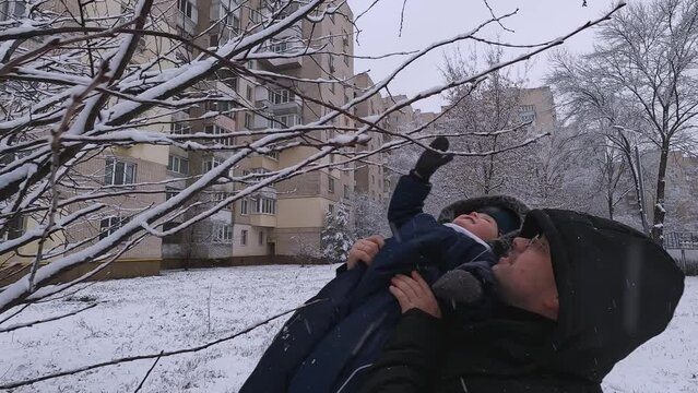 The father holds the child, who touches the branches of the trees. Ideas about winter, cold, mortgage, emotions, nature, childhood, entertainment, snow, family vacations, laughter, games, trust, joy