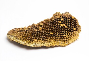 bees on a beehive