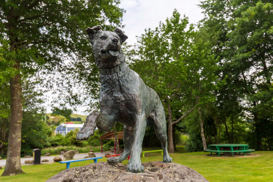 A statue of a Huntaway farm dog stands proudly next to the highway, symbolizing the enduring spirit and hardworking nature of rural life.
