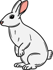 Hand drawn Rabbit Illustration Pose