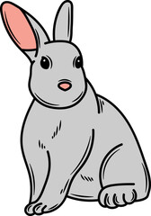 Hand drawn Rabbit Illustration Pose