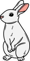 Hand drawn Rabbit Illustration Pose