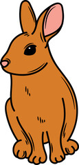 Hand drawn Rabbit Illustration Pose
