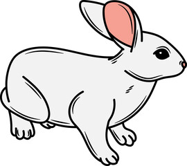 Hand drawn Rabbit Illustration Pose