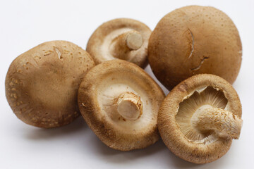 Fresh shiitake mushrooms on white background.