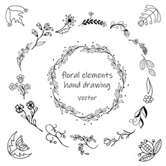 A set of floral elements, hand drawings. Isolated on transparent background.