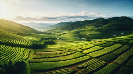 Fototapeta premium sustainable agriculture generative ai