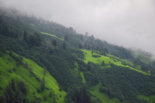A misty green valley in lights.
