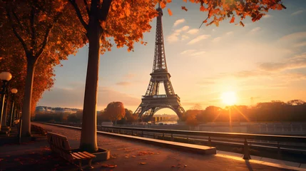  eiffel tower at sunset © toomi123