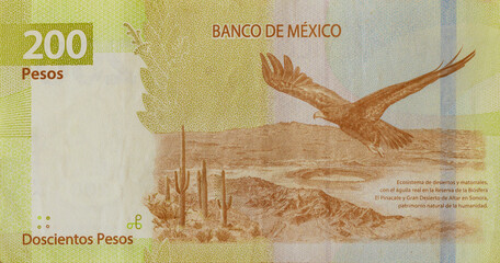 Mexico 200 pesos banknote close up Mexican money bills currency rear view - obrazy, fototapety, plakaty
