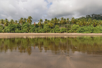 tropical beach with palm trees