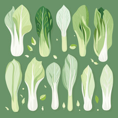 Set of Bok Choy hand drawing isolated vector illustration