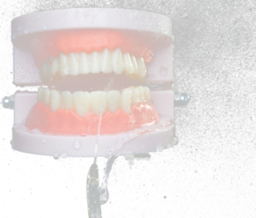 Artificial Tooth Plastic jaw clean with water spray jet. Teeth of dental jaw model spray with water to clean up on daily brush. Black background isolated