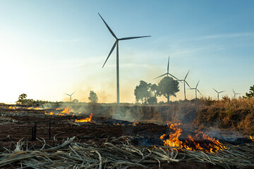 Toxic fumes from burning sugarcane or dry grass cause dangerous environmental pollution in wind...