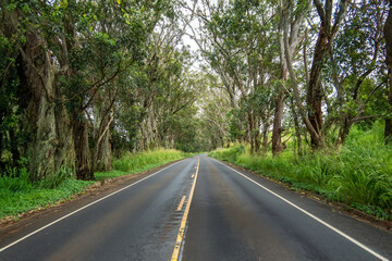 Fototapeta na wymiar a road in hawaii 