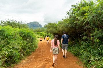 Fototapeta na wymiar hiking in hawaii 